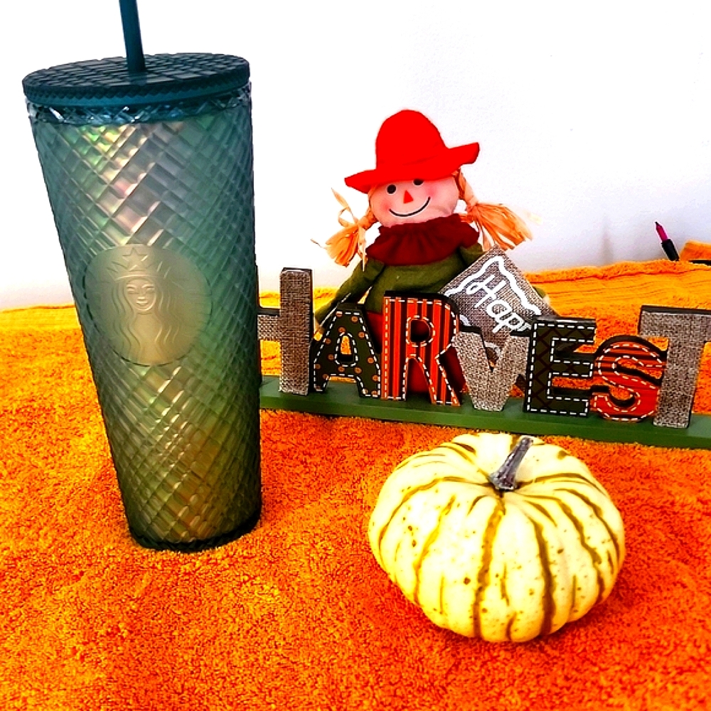 STARBUCKS Matte Tumbler